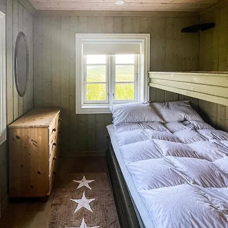 5 Bedroom In Uvdal Holiday home *